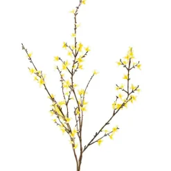 Blomst Forsythia