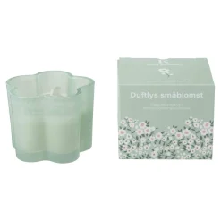 Duftlys småblomst Wild Bamboo