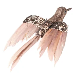 Fugl på klype kolibri