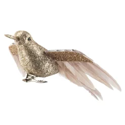 Fugl på klype kolibri