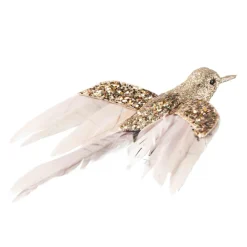 Fugl på klype kolibri