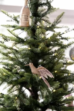 Fugl på klype kolibri