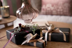 Fugl på klype kolibri