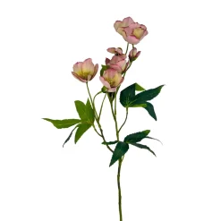 Julerose lys rosa