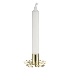 Lysestake Roots 8 cm