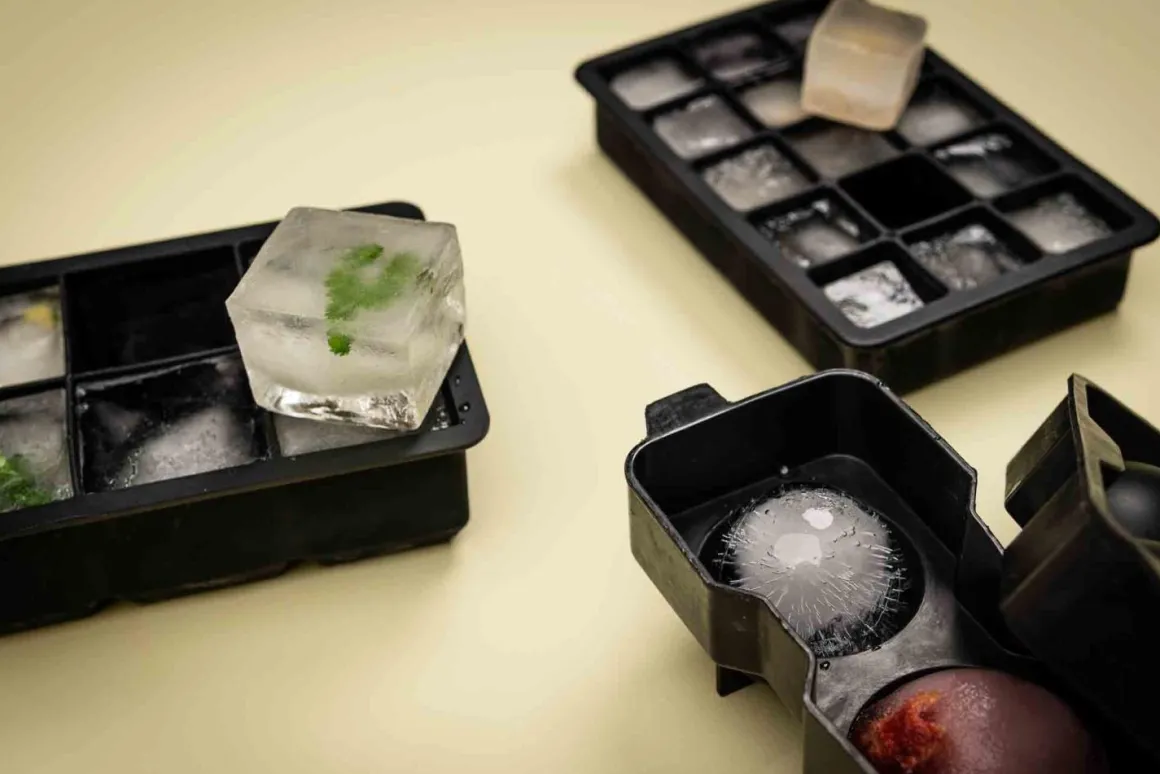 Modern House - Ice Isbitform