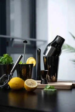 Modern House - Sontell Barsett s/3