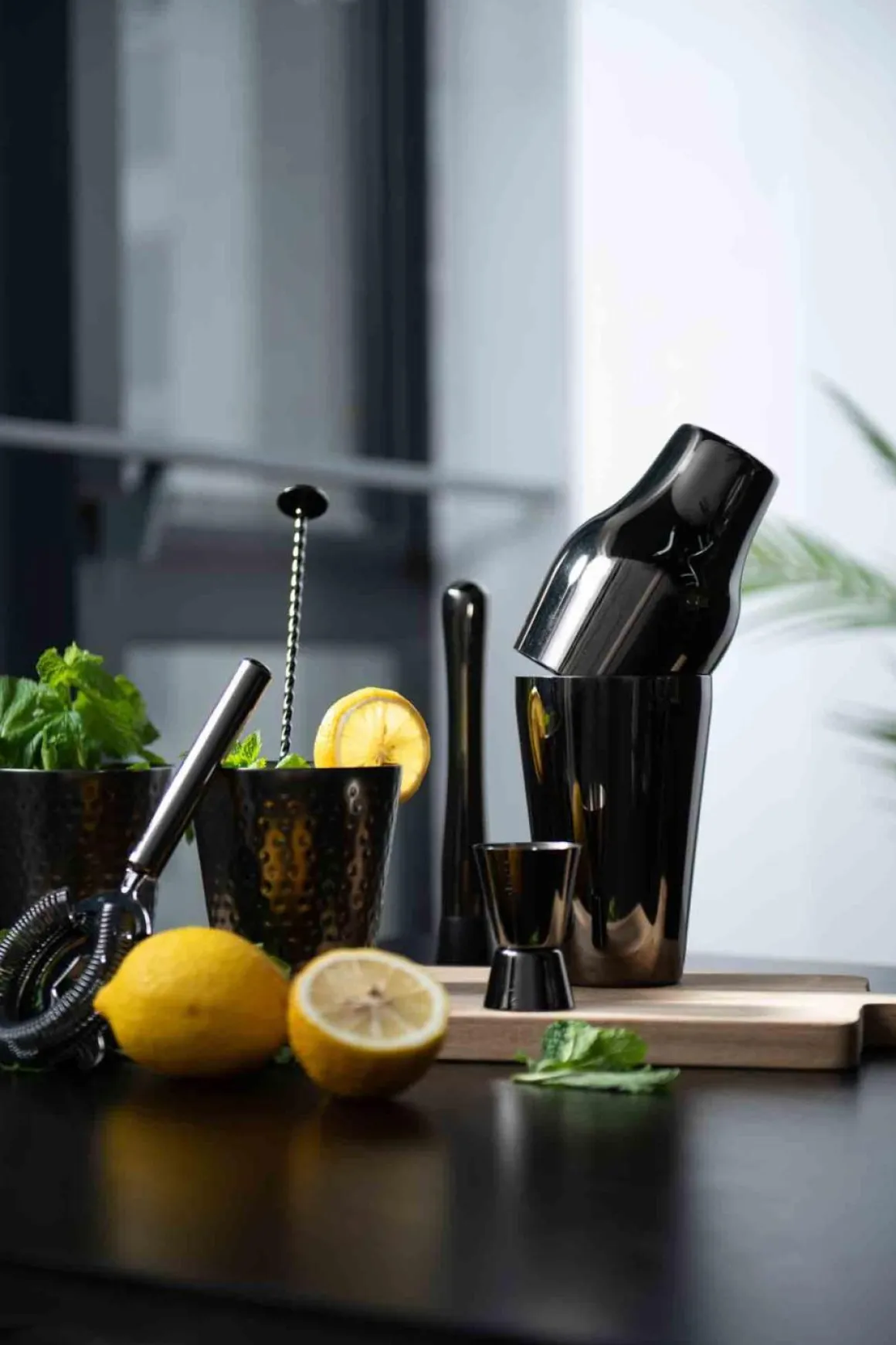 Modern House - Sontell Barsett s/3