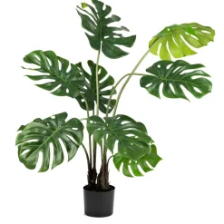Monstera i potte 109 cm