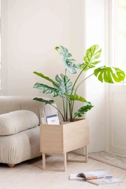 Monstera i potte 109 cm