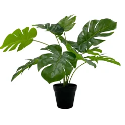 Monstera i potte 42cm