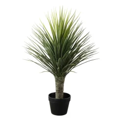 Palme i potte 85 cm