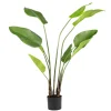 Plante Banantre 123 cm