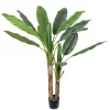 Plante Banantre 135cm