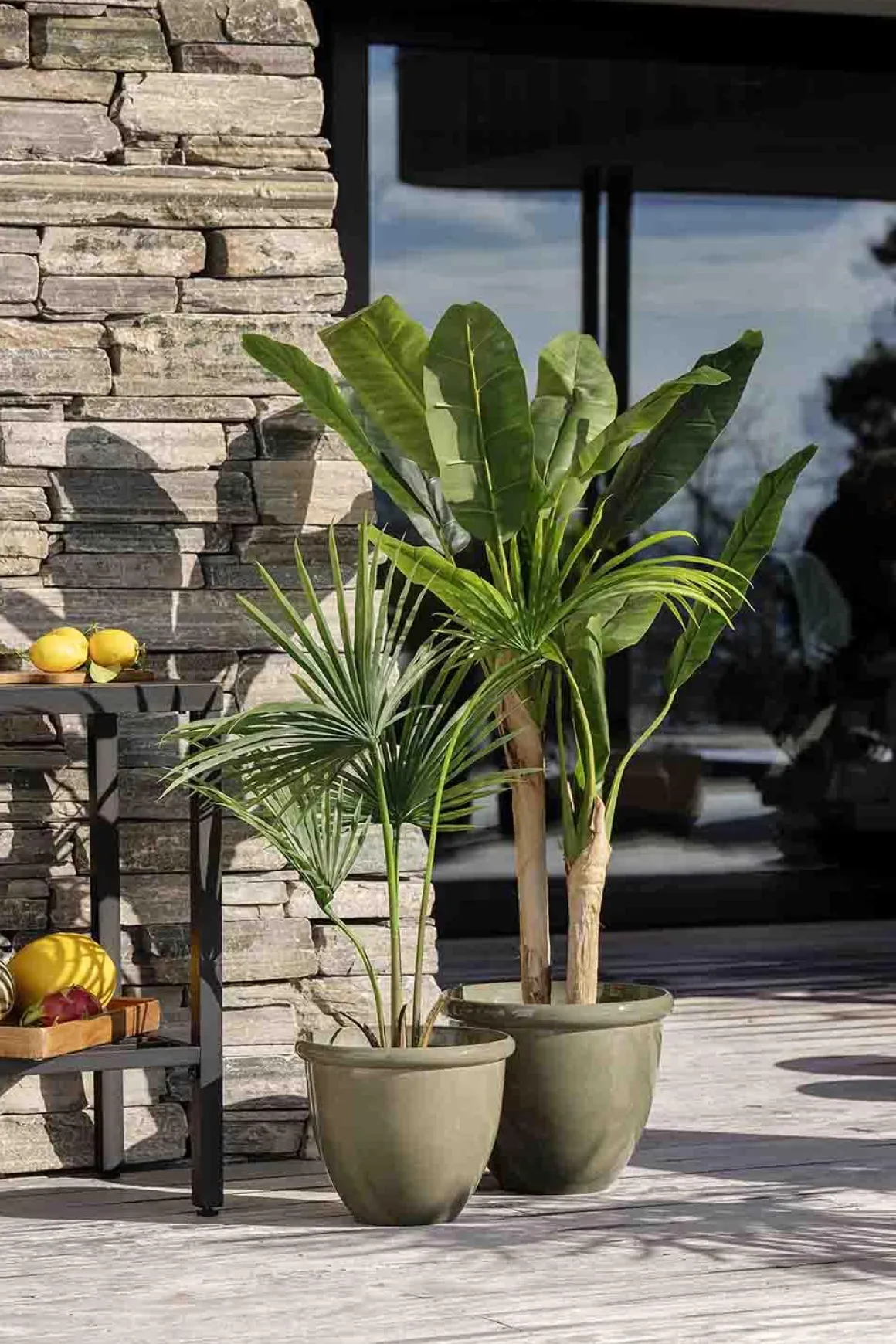 Plante Kwai palme 130 cm