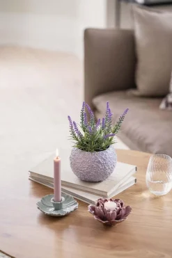 Potte Småblomst 11 cm lilla