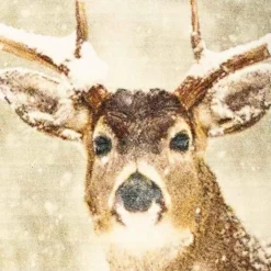 Putetrekk velur vinterhjort