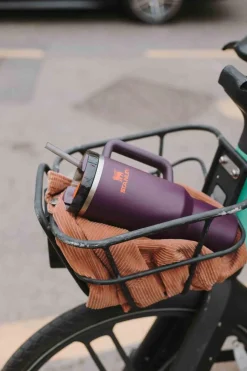 Stanley - Quencher Termoflaske 1,18 l plomme