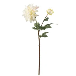 Stilkblomst Dahlia 70 cm hvit