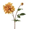 Stilkblomst Dahlia 70 cm oker