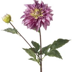 Stilkblomst Dahlia 70 cm rosa