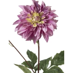 Stilkblomst Dahlia 70 cm rosa