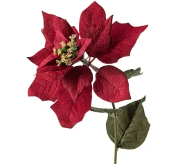 Stilkblomst julestjerne 64 cm