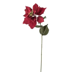 Stilkblomst julestjerne 64 cm