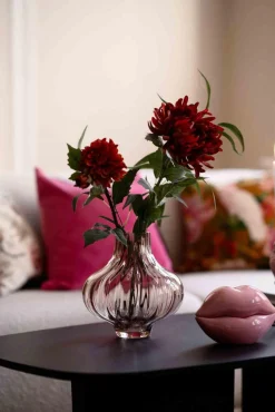 Stilkblomst Krysantemum