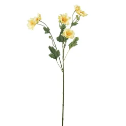 Stilkblomst Ranunkel 69 cm