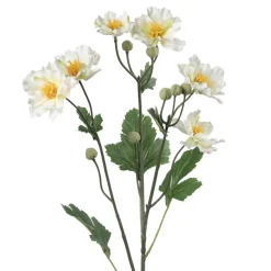 Stilkblomst Ranunkel 69 cm hvit