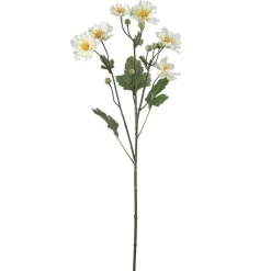 Stilkblomst Ranunkel 69 cm hvit