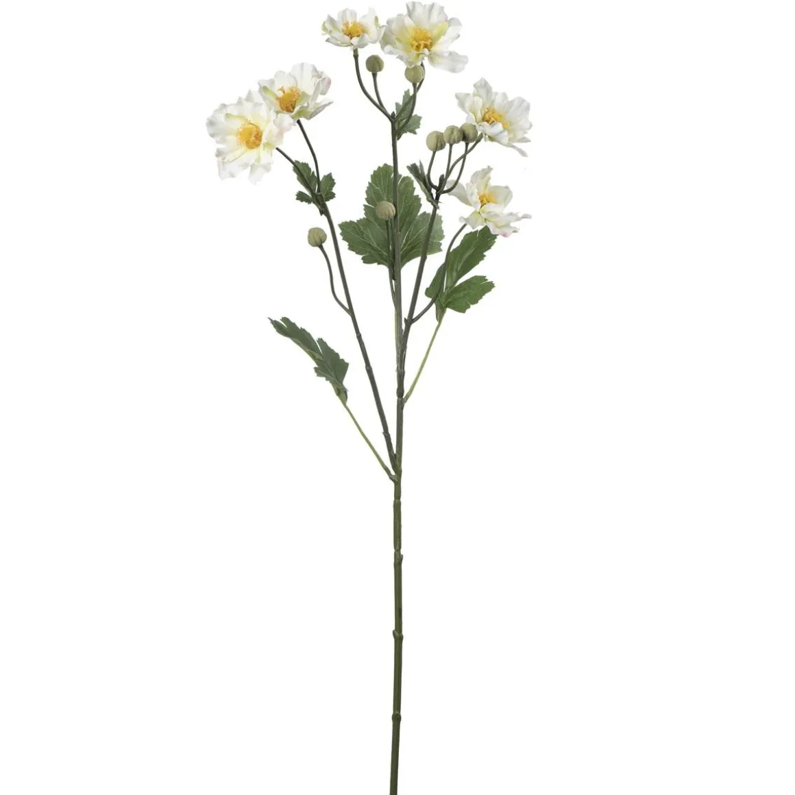 Stilkblomst Ranunkel 69 cm hvit