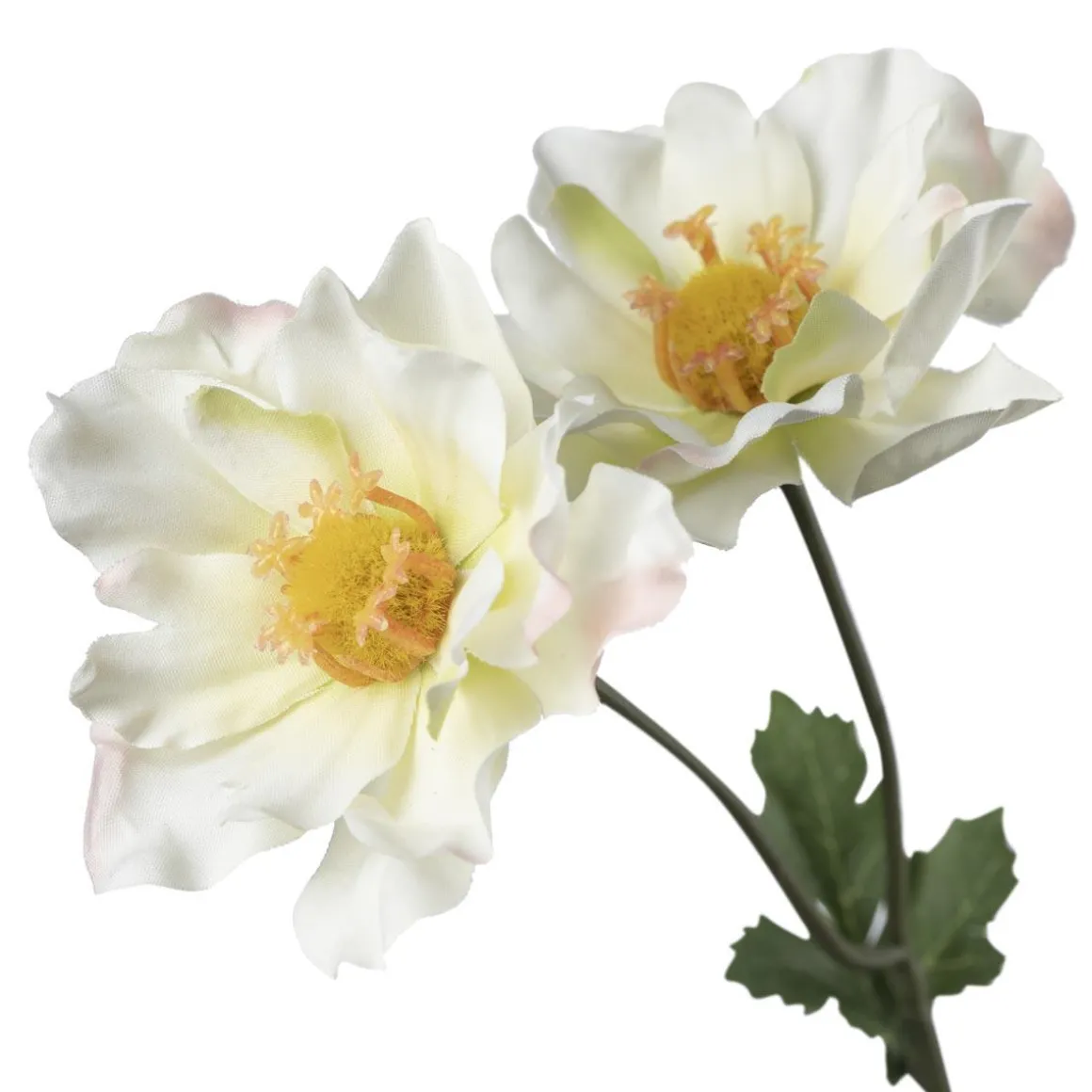 Stilkblomst Ranunkel 69 cm hvit