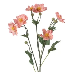 Stilkblomst Ranunkel 69 cm fersken