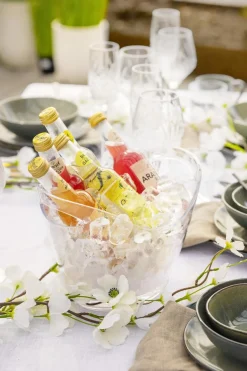 Vinkjøler Jane til 2 flasker